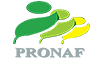 Logo Pronarf