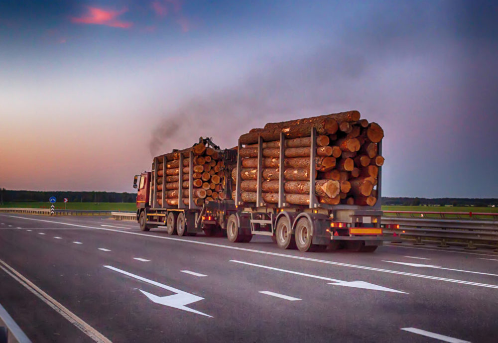 Exportação de madeira: descubra como começar a exportar