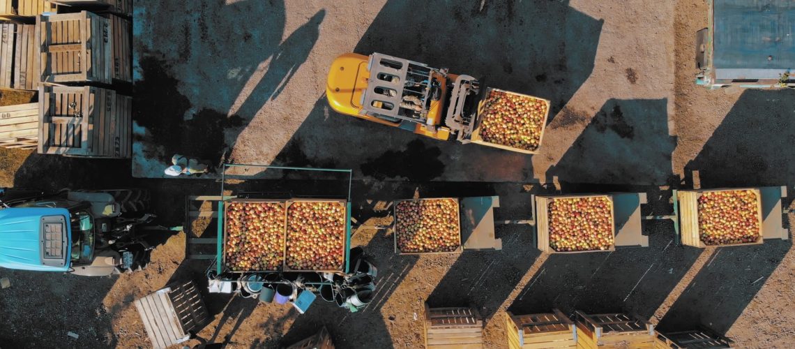 Loading,Apples.,Apple,Farming.,Apple,Harvest.,Apple,Crop.,Aero,,Top